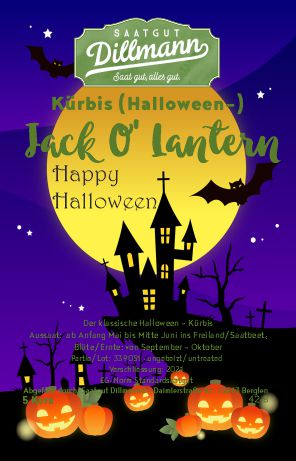 Kübis (Halloween) Jack O´ Lantern Haus (5 Korn)