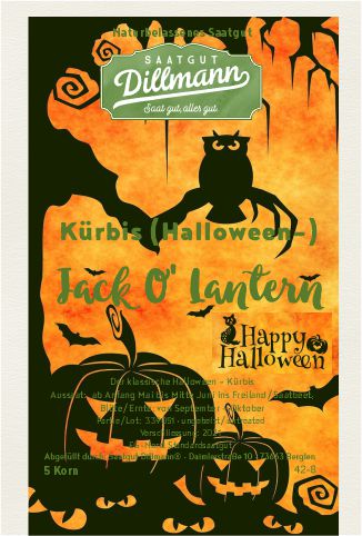 Kübis (Halloween) Jack O´ Lantern Eule (5 Korn)